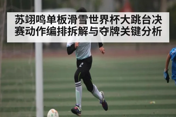 苏翊鸣单板滑雪世界杯大跳台决赛动作编排拆解与夺牌关键分析 | kaiyun